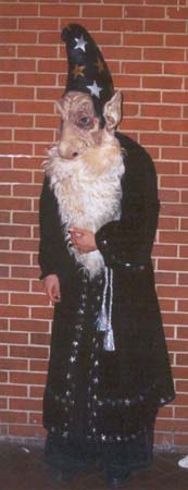 2000100424acrop copy