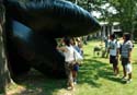 2007G08_085cr