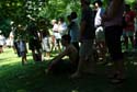 2007G08_117cr