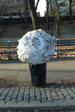 DSCF1886
